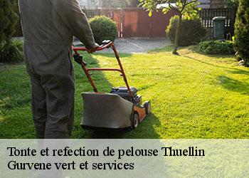 Tonte et refection de pelouse  thuellin-38630 Gurvene vert et services
