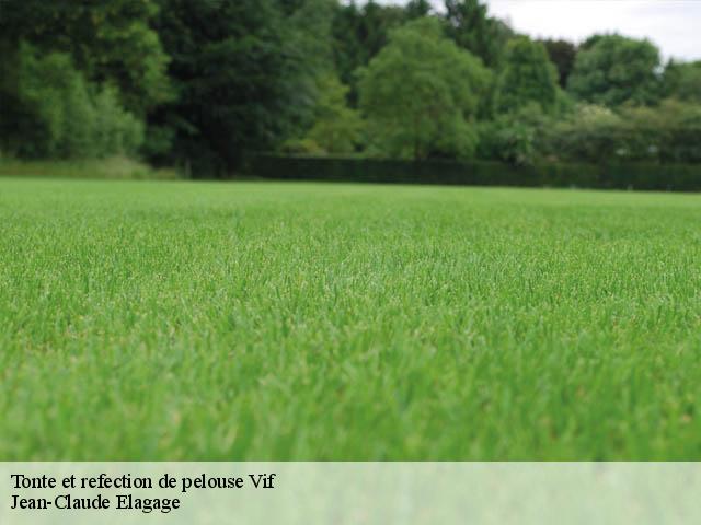 Tonte et refection de pelouse  vif-38450 Jean-Claude Elagage