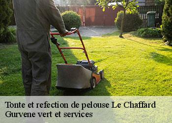 Tonte et refection de pelouse  le-chaffard-38290 Gurvene vert et services
