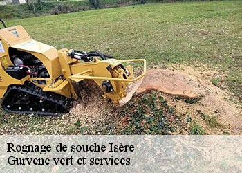 Rognage de souche 38 Isère Gurvene vert et services