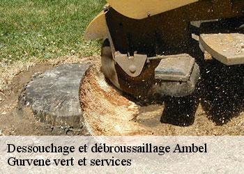 Dessouchage et débroussaillage  ambel-38970 Gurvene vert et services