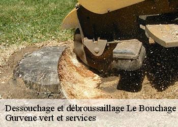 Dessouchage et débroussaillage le-bouchage-38510 Gurvene vert et services