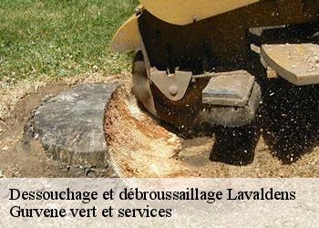 Dessouchage et débroussaillage  lavaldens-38350 Gurvene vert et services