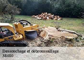 Dessouchage et débroussaillage  38480