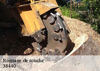 Rognage de souche 38440