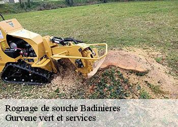 Rognage de souche  badinieres-38300 Gurvene vert et services