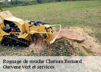 Rognage de souche  chateau-bernard-38650 Gurvene vert et services