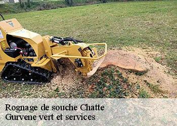 Rognage de souche  chatte-38160 Gurvene vert et services
