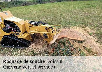 Rognage de souche  doissin-38730 Gurvene vert et services