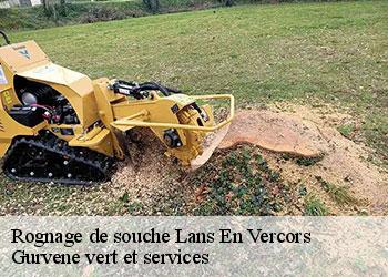 Rognage de souche  lans-en-vercors-38250 Gurvene vert et services