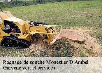 Rognage de souche  monestier-d-ambel-38970 Gurvene vert et services