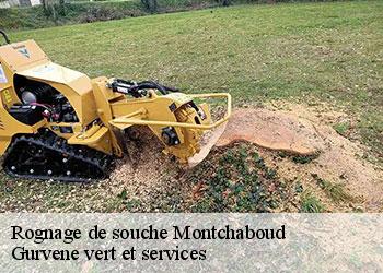 Rognage de souche  montchaboud-38220 Gurvene vert et services