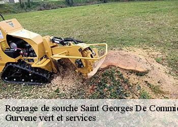 Rognage de souche  saint-georges-de-commiers-38450 Gurvene vert et services