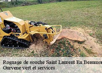 Rognage de souche saint-laurent-en-beaumont-38350 Gurvene vert et services