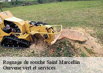 Rognage de souche saint-marcellin-38160 Gurvene vert et services