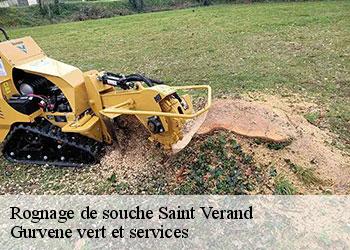 Rognage de souche  saint-verand-38160 Gurvene vert et services