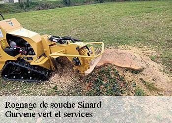Rognage de souche sinard-38650 Gurvene vert et services