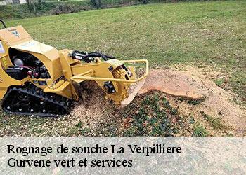 Rognage de souche  la-verpilliere-38290 Gurvene vert et services