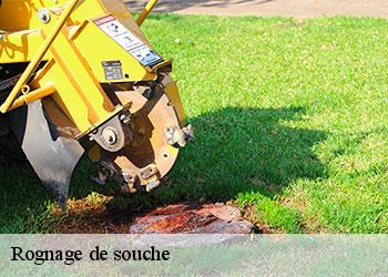 Rognage de souche