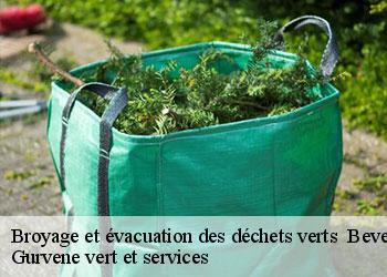 Broyage et évacuation des déchets verts bevenais-38690 Gurvene vert et services