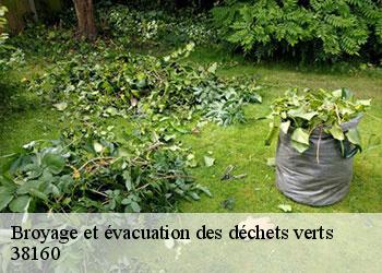 Broyage et évacuation des déchets verts 38160