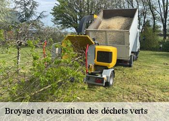 Broyage et évacuation des déchets verts