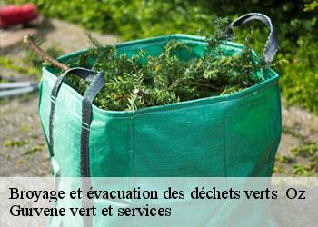 Broyage et évacuation des déchets verts   oz-38114 Gurvene vert et services