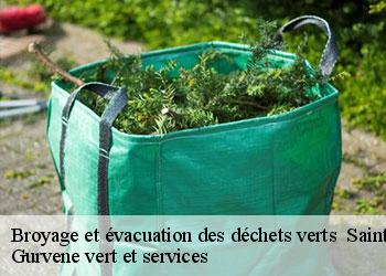 Broyage et évacuation des déchets verts   sainte-anne-sur-gervonde-38440 Gurvene vert et services