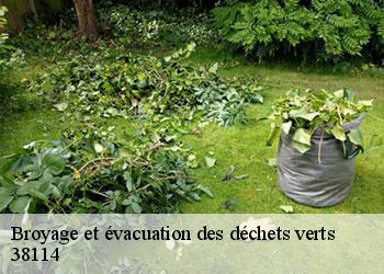 Broyage et évacuation des déchets verts 38114